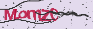 Codice captcha