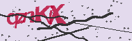 Codice captcha