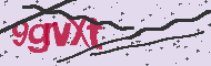 Codice captcha