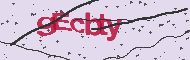Codice captcha